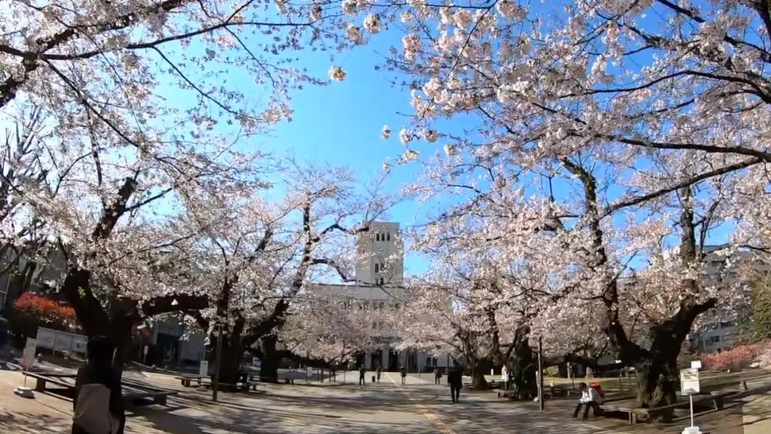 東京工業(yè)大學(xué)