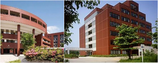 金澤大學